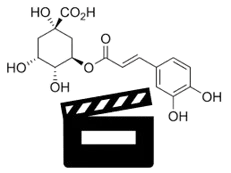 CHLORINACTION logo
