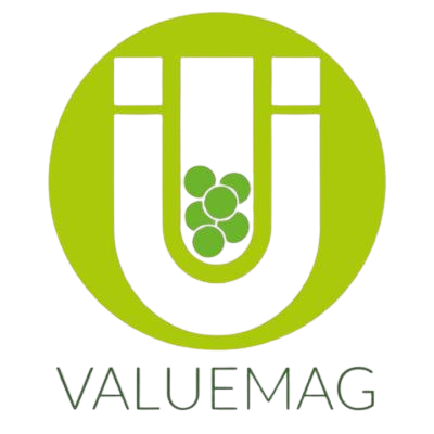 VALUEMAG logo